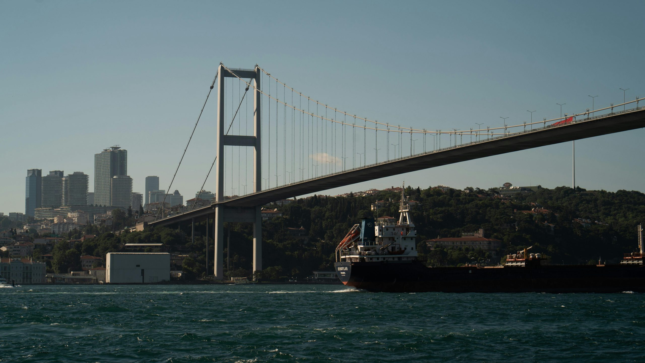 Navigating the Complexities of International Shipping Fees