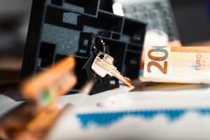 Effective Strategies for Setting Competitive Rental Prices