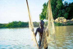 The Connection Between Sustainable Practices and Brand Transparency