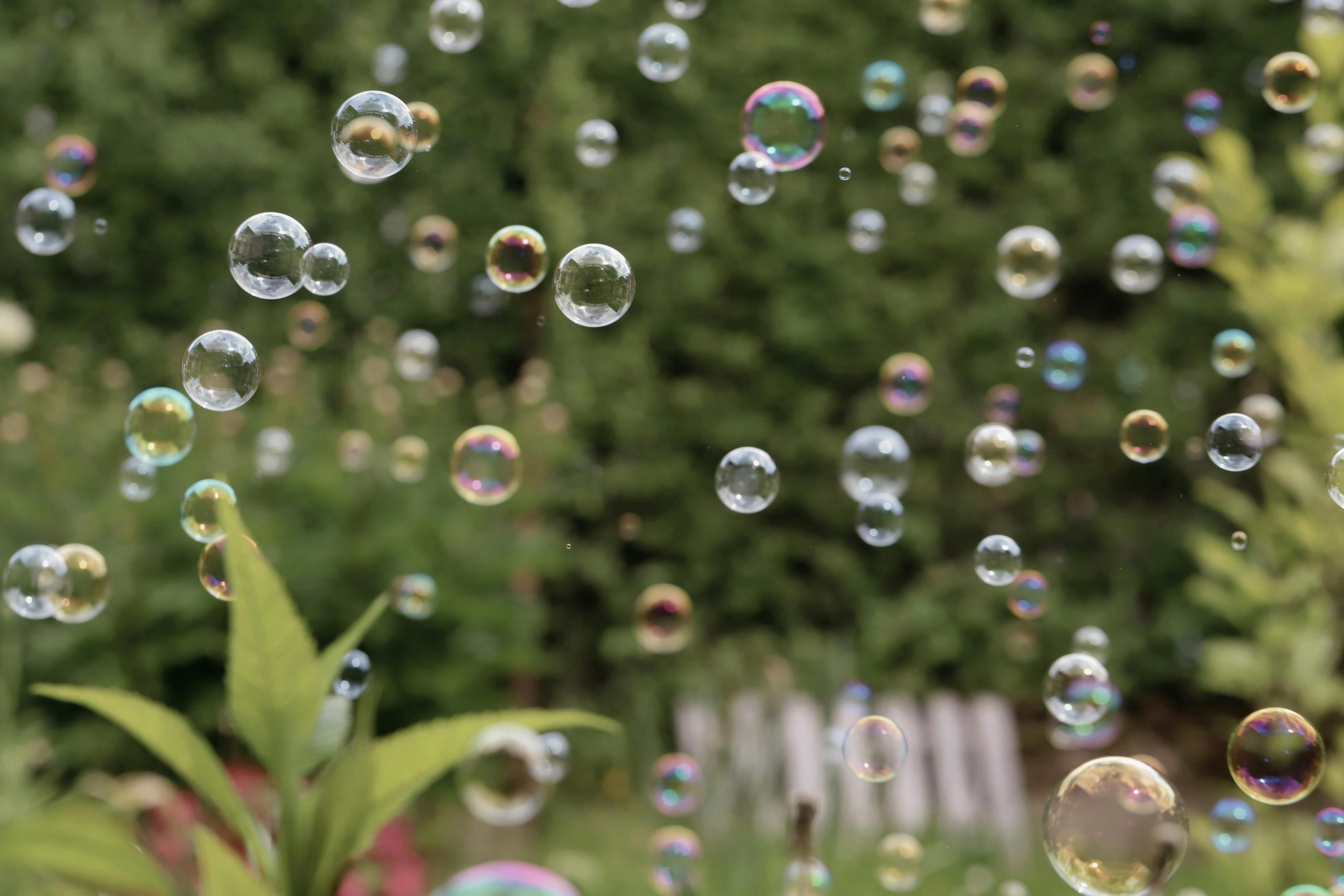 Finding Joy in the Everyday: Simple Ways to Be Happier