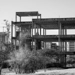 Developing a Growth Mindset to Embrace New Challenges