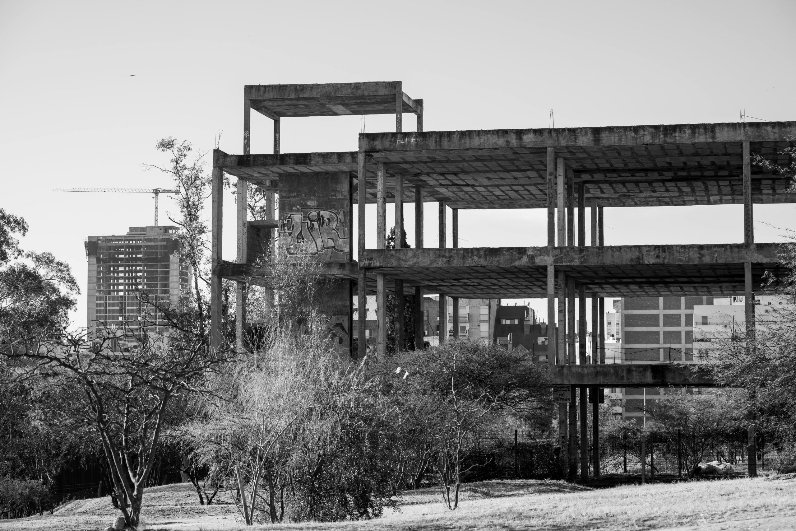 Developing a Growth Mindset to Embrace New Challenges