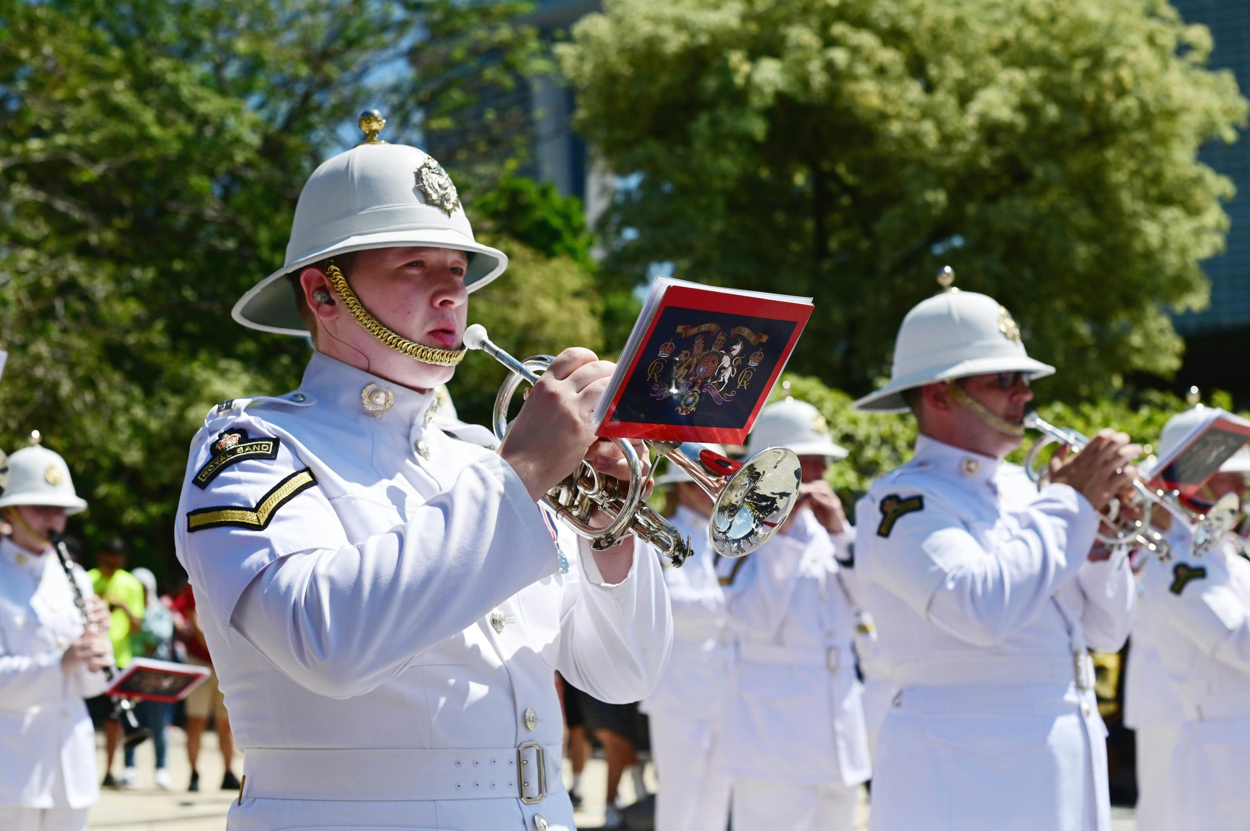 The Essential Guide to Shopping for Musical Instruments