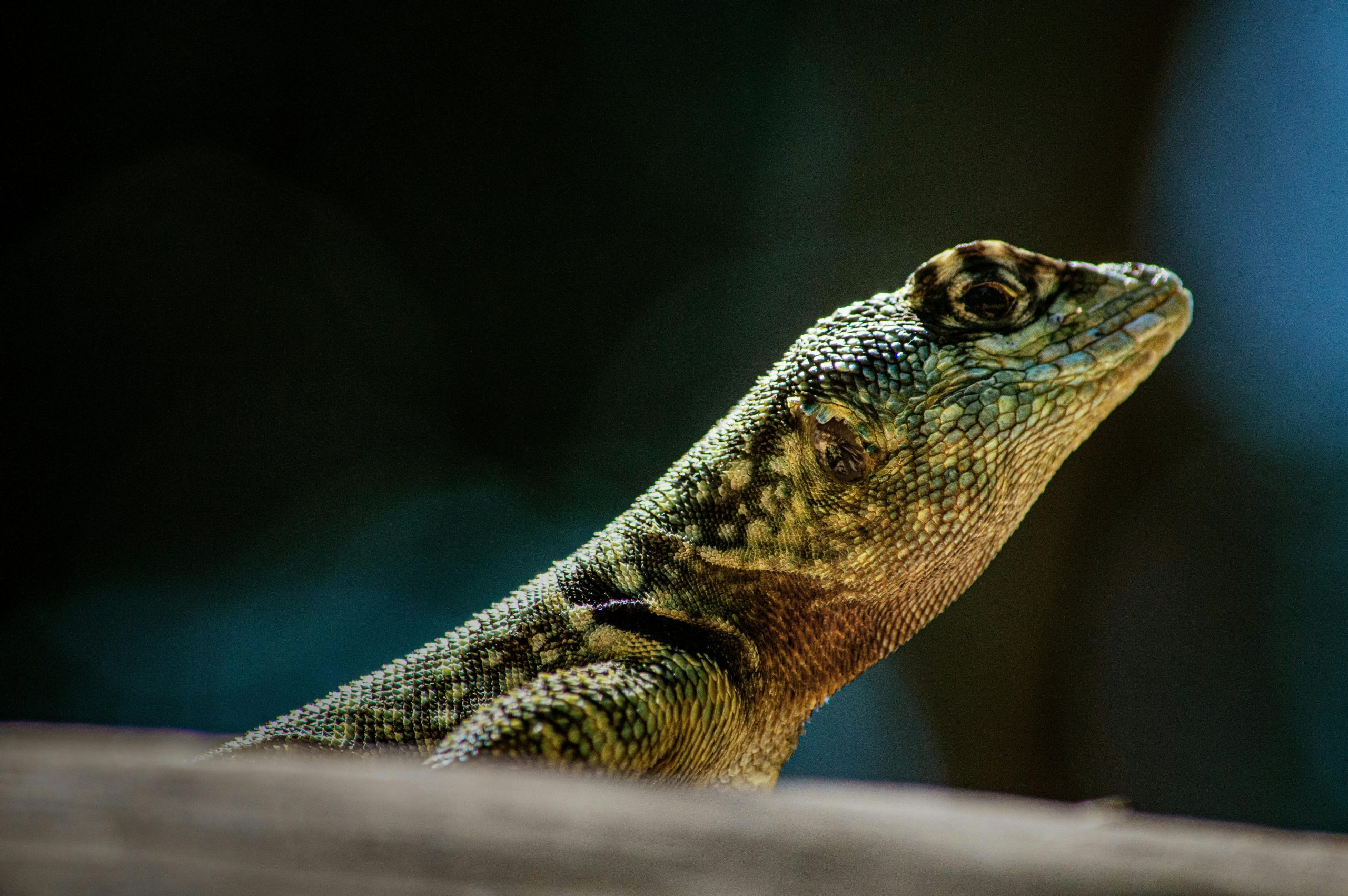 Developing an Eye for Detail