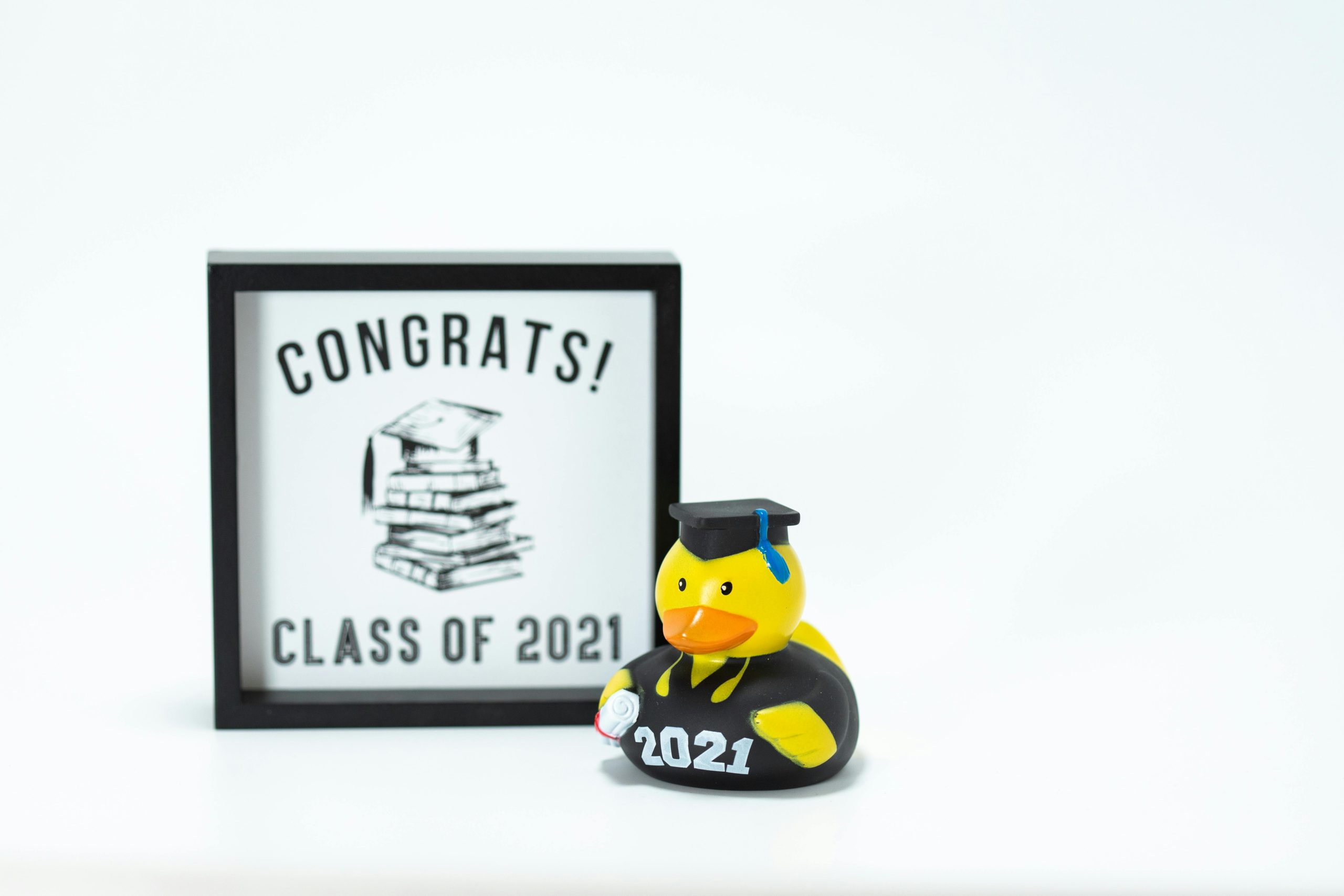 Mastering New Skills: Lifelong Learning Beyond the Degree