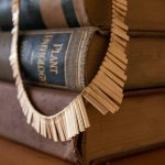 The Transformative Impact of Litigation
