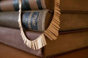 The Transformative Impact of Litigation