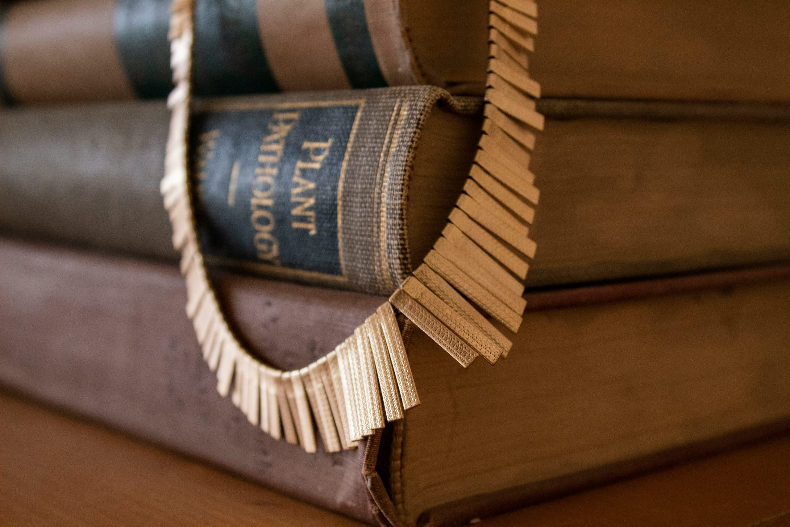 The Transformative Impact of Litigation