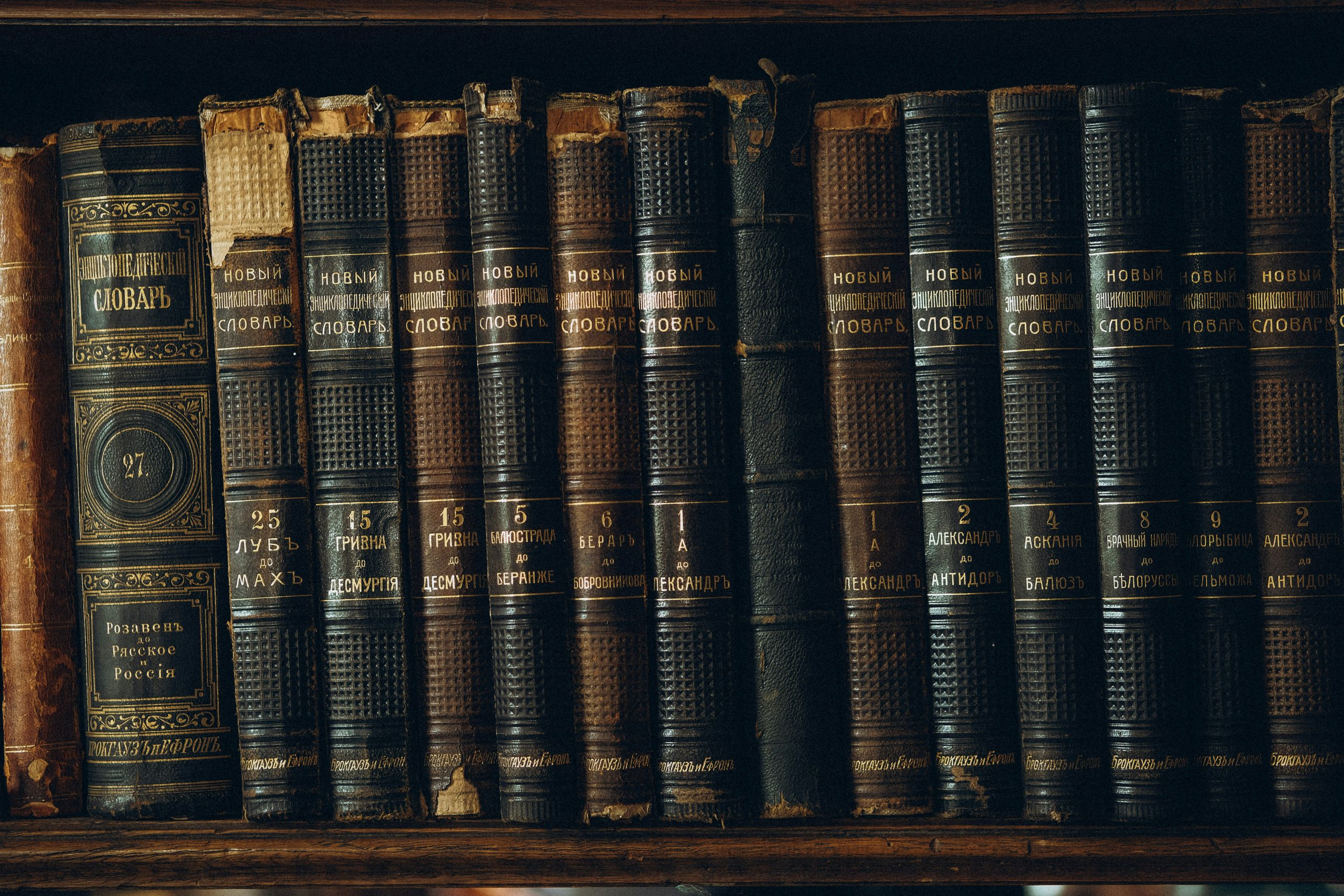 Exploring the World of Legal Studies